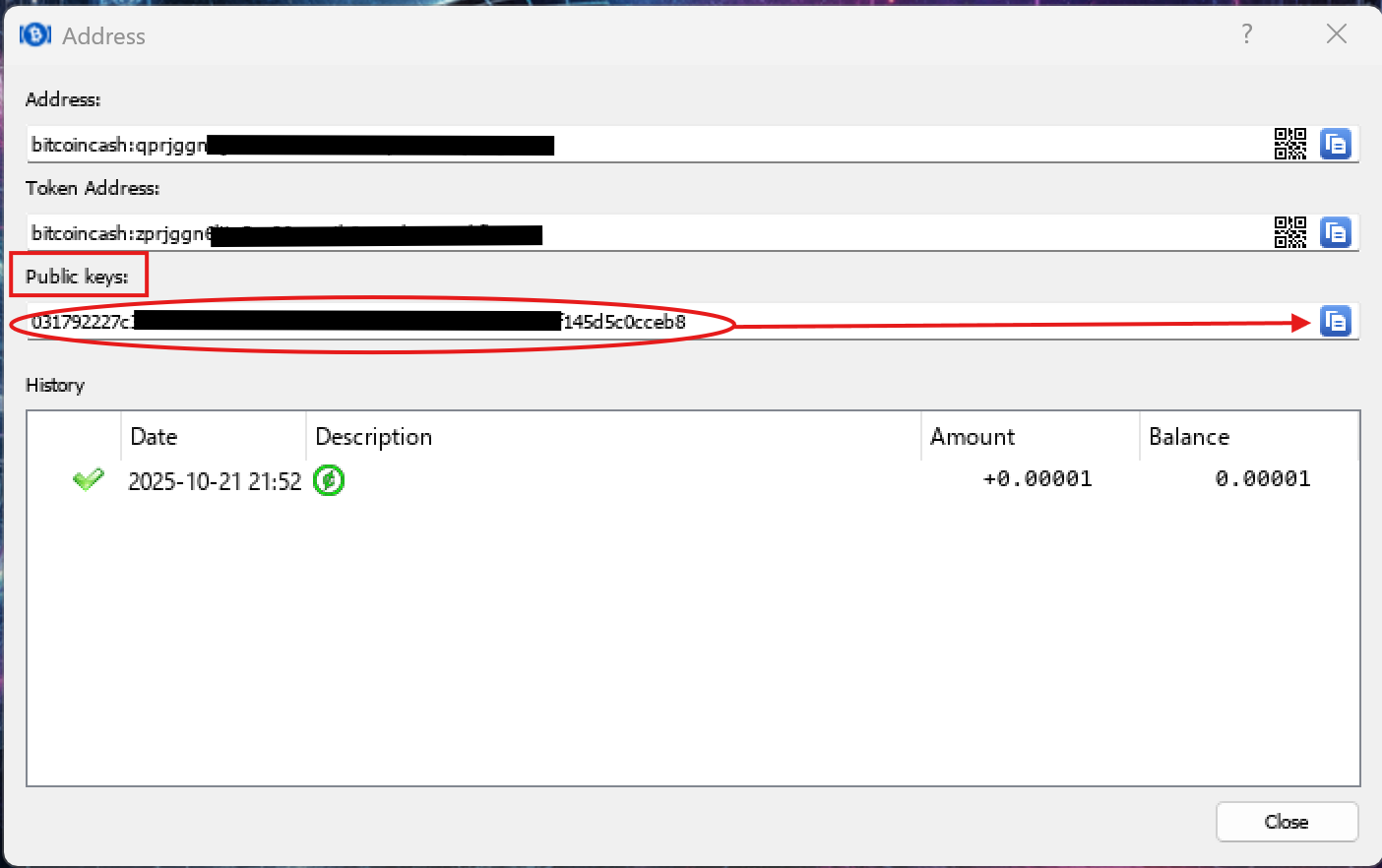 Address Details showing Public Key